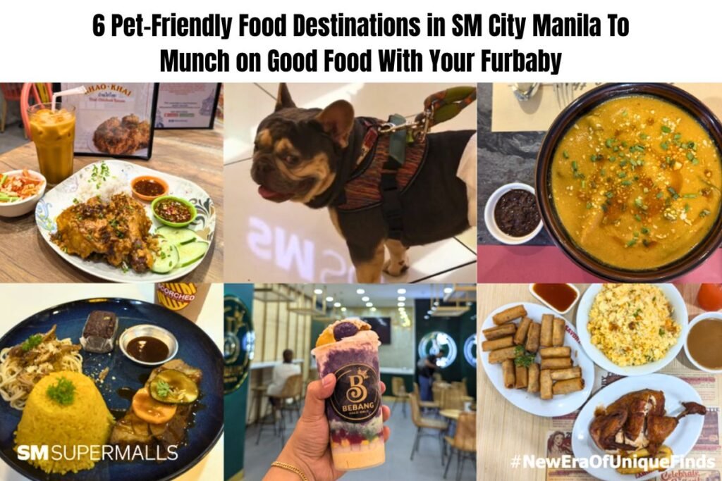 6 Pet-Friendly Food Destinations in SM City Manila